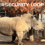 Cybersecurity Loop Newsletter #12
